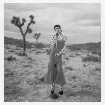 copy-of-br-polaroid-10-qfjepwi